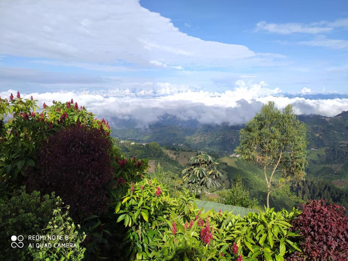 Mirador Finca Morrogacho Manizales Exteriör bild