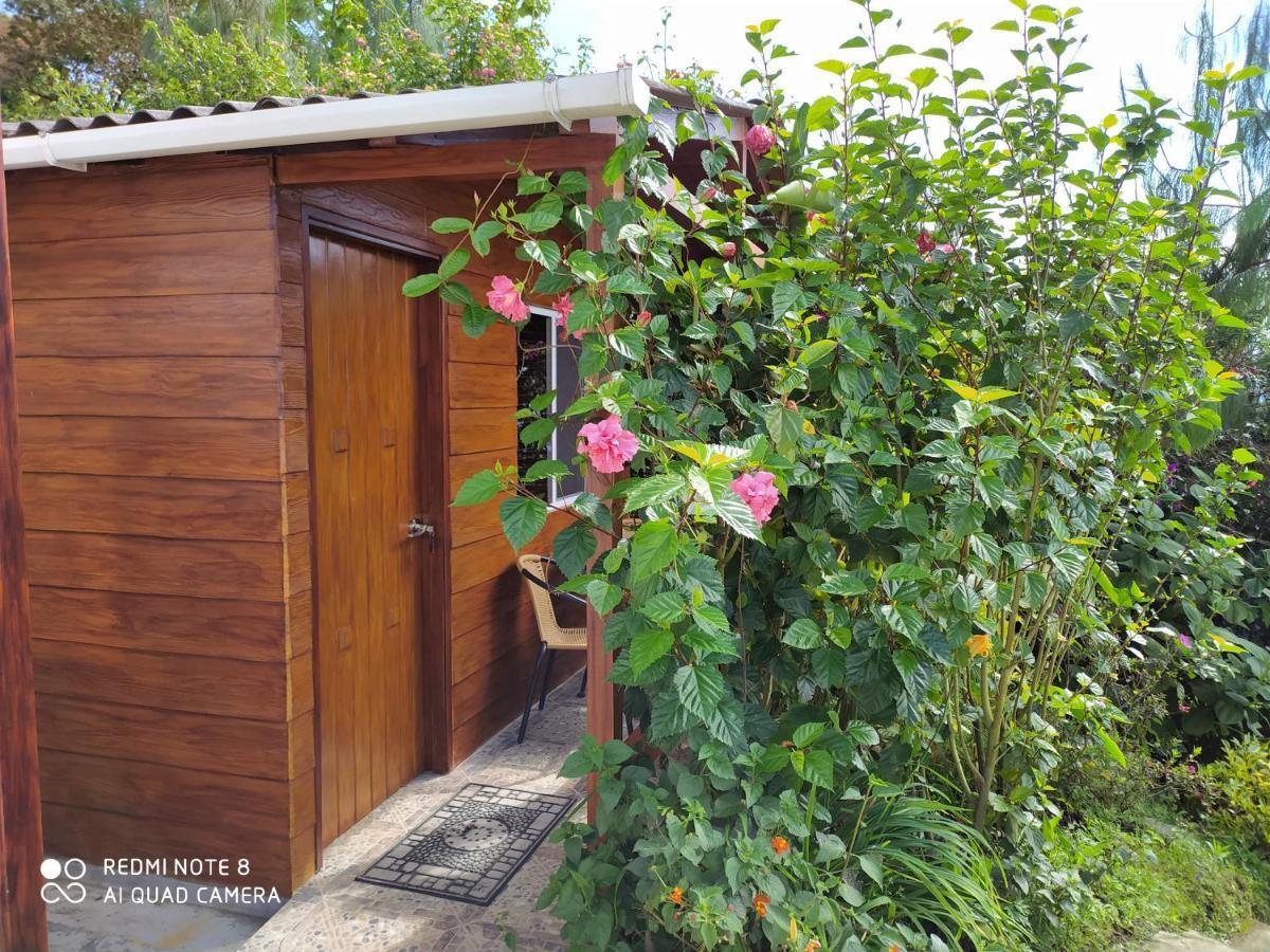 Mirador Finca Morrogacho Manizales Exteriör bild