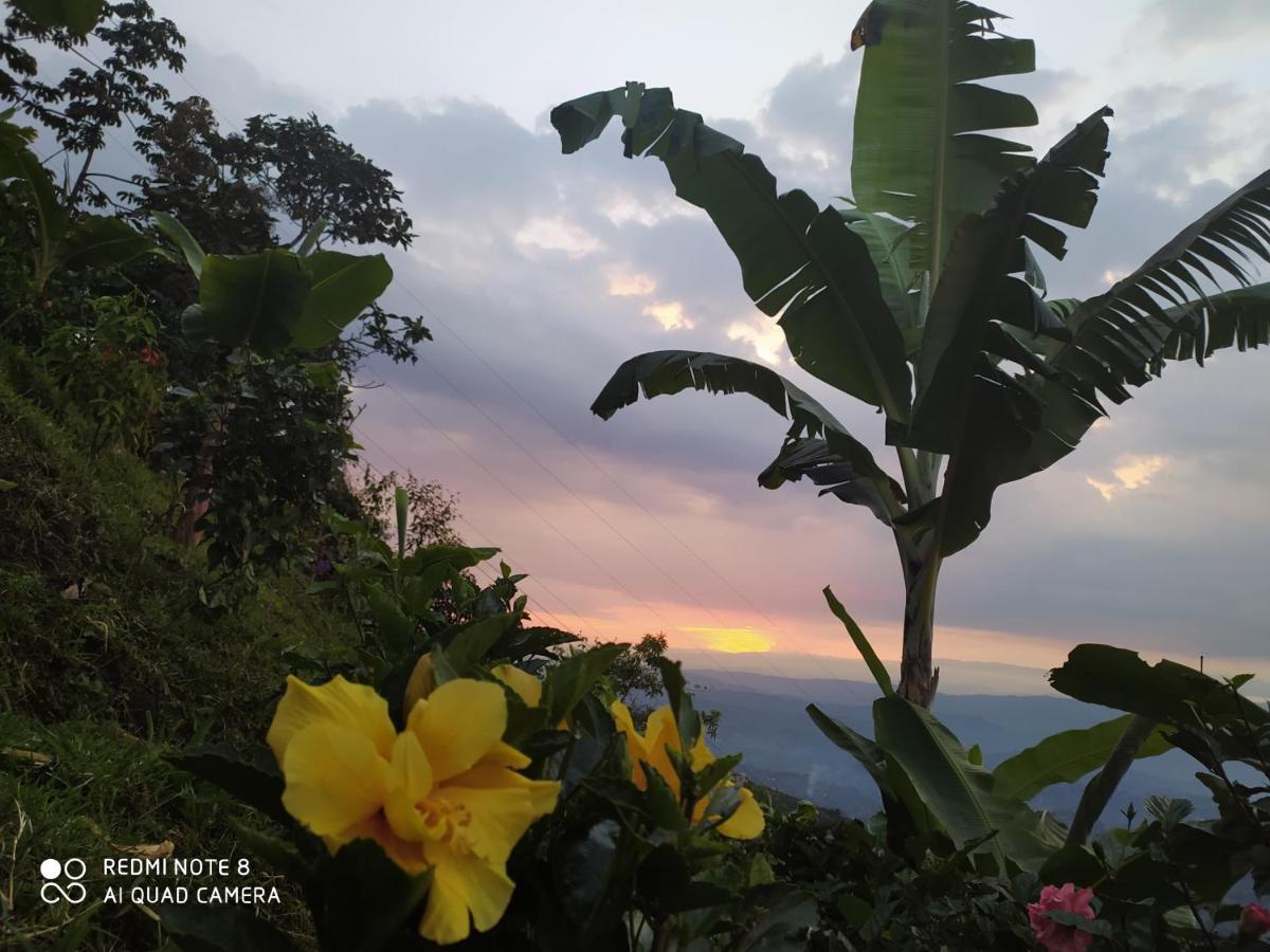 Mirador Finca Morrogacho Manizales Exteriör bild
