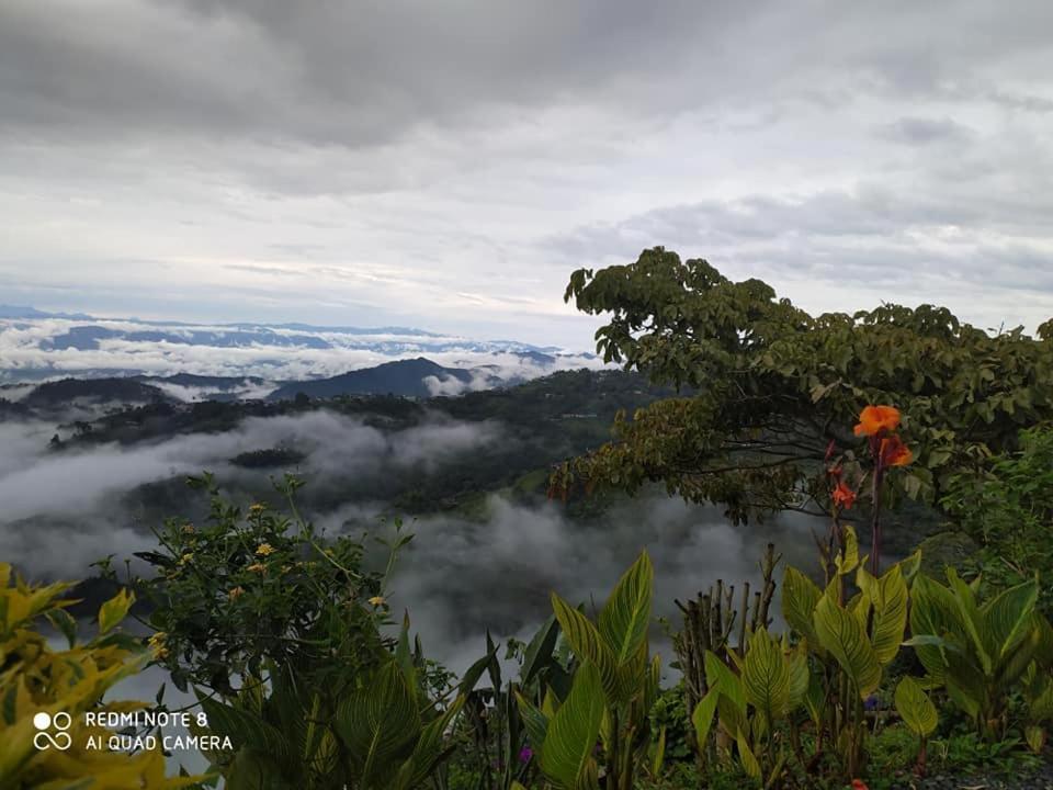 Mirador Finca Morrogacho Manizales Exteriör bild