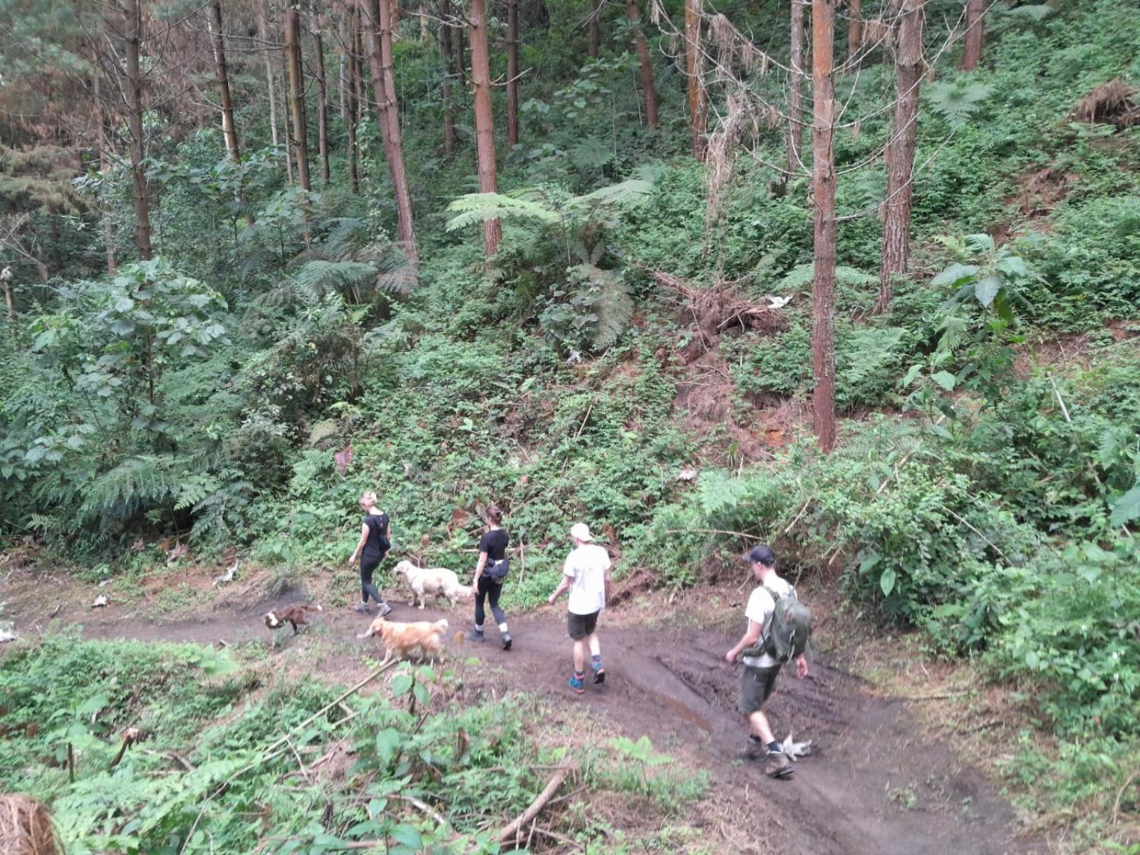 Mirador Finca Morrogacho Manizales Exteriör bild