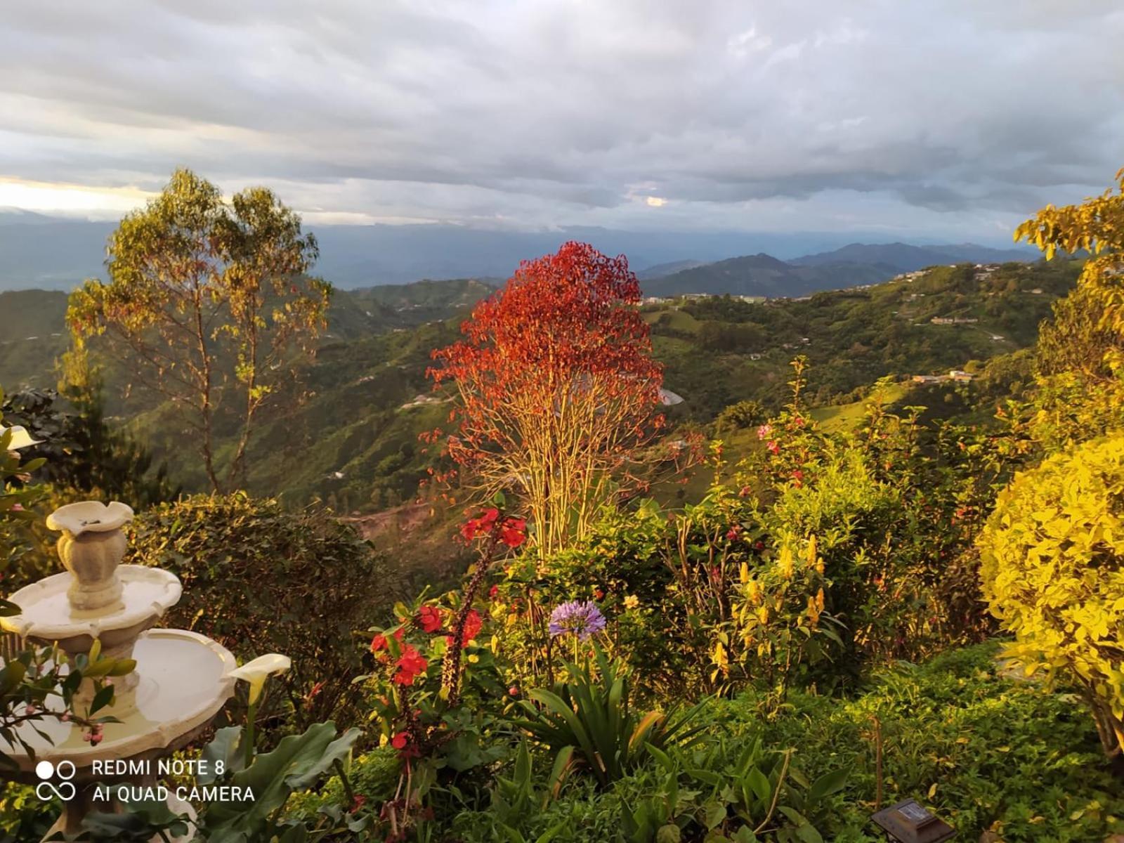 Mirador Finca Morrogacho Manizales Exteriör bild