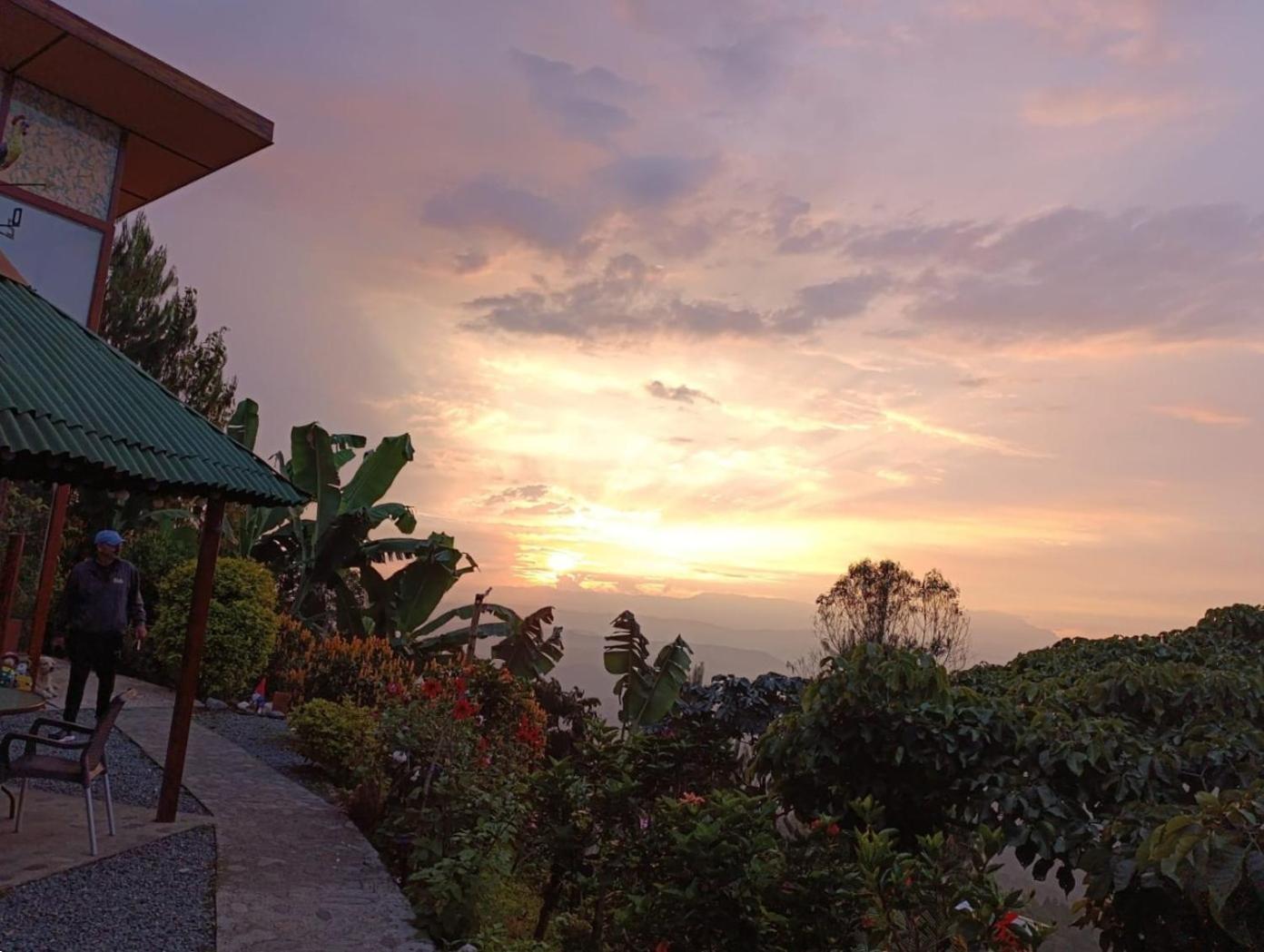 Mirador Finca Morrogacho Manizales Exteriör bild
