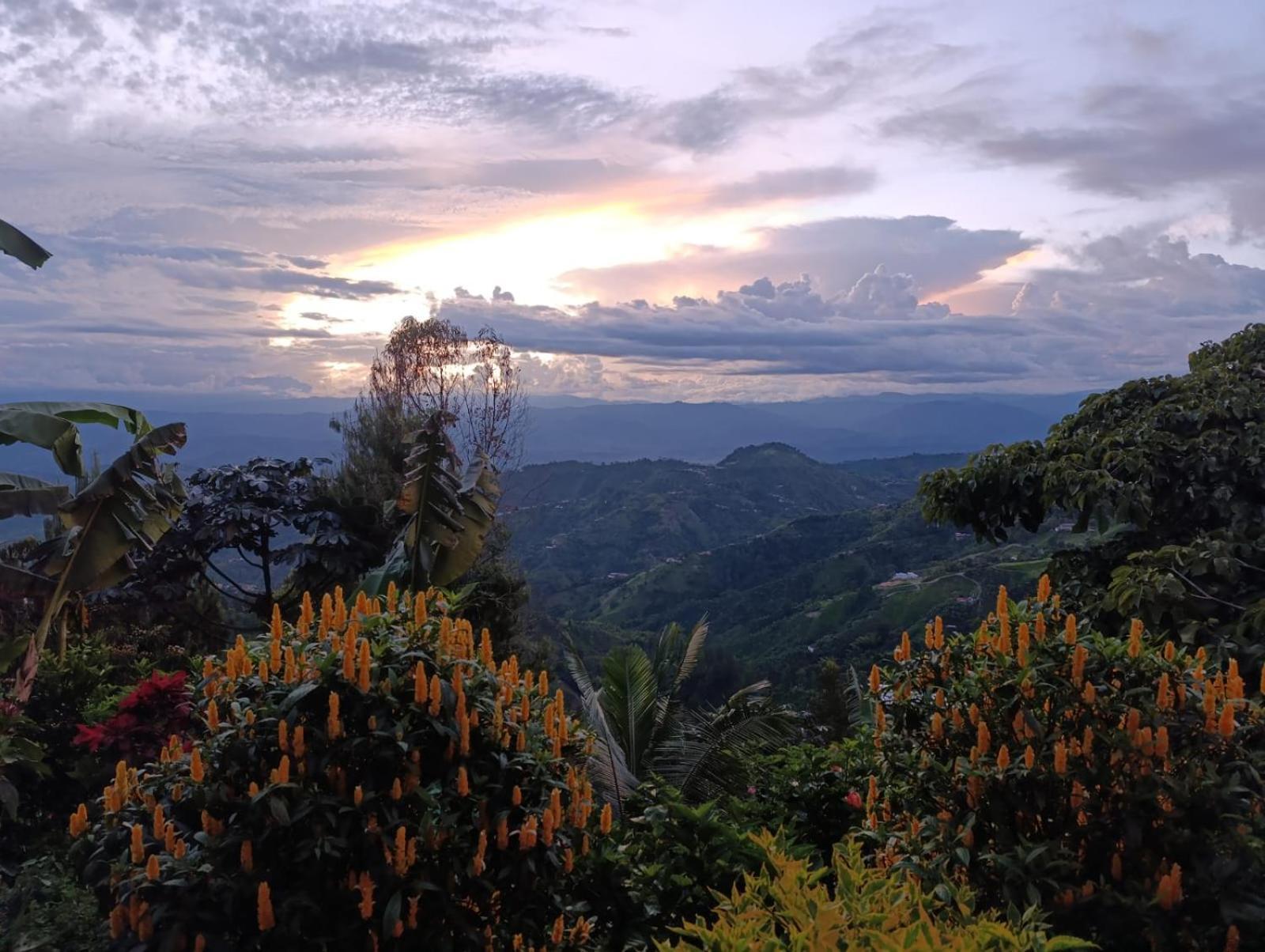 Mirador Finca Morrogacho Manizales Exteriör bild