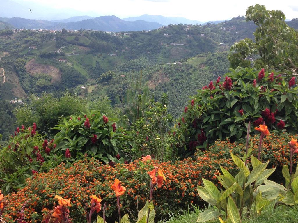 Mirador Finca Morrogacho Manizales Exteriör bild